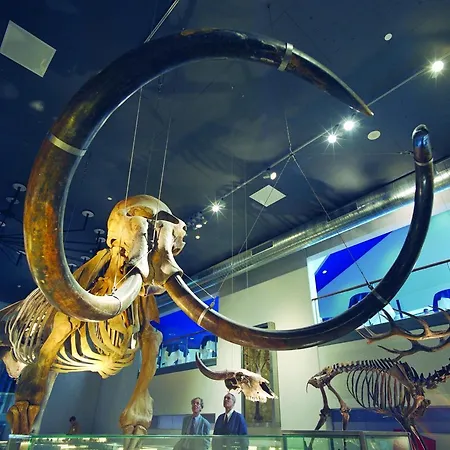 酒店 Leiden, An Ihg