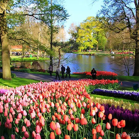 Leiden, An Ihg 4*