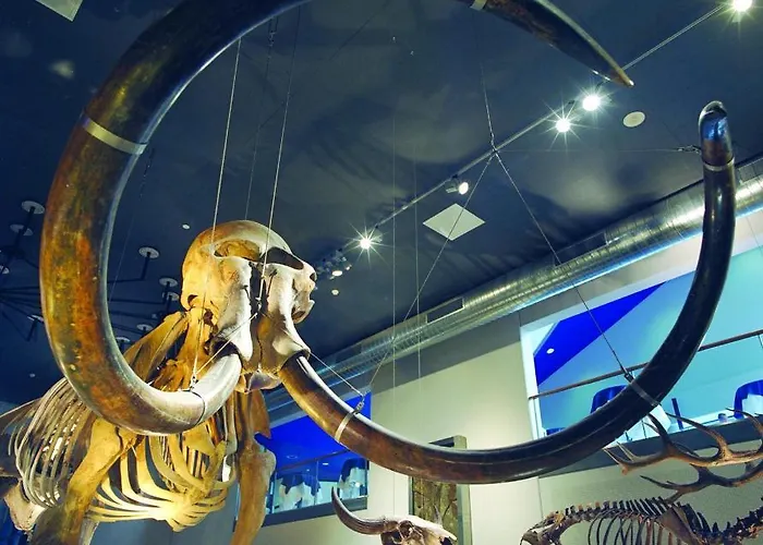 酒店 Leiden, An Ihg